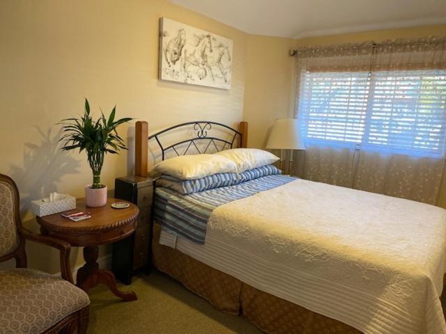Ocean Breeze Executive Bed And Breakfast North Vancouver Exterior photo