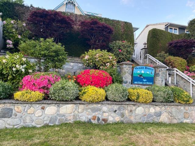 Ocean Breeze Executive Bed And Breakfast North Vancouver Exterior photo